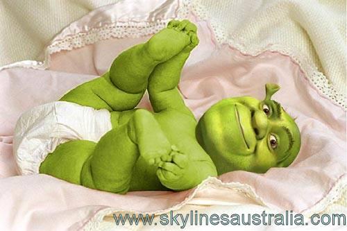 Baby Shrek Member S Gallery SAU Community