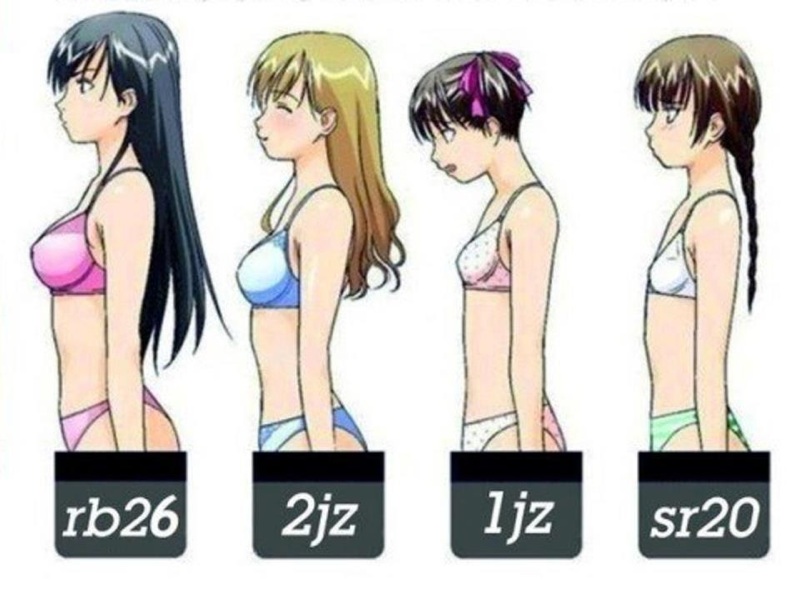 Anime boob size